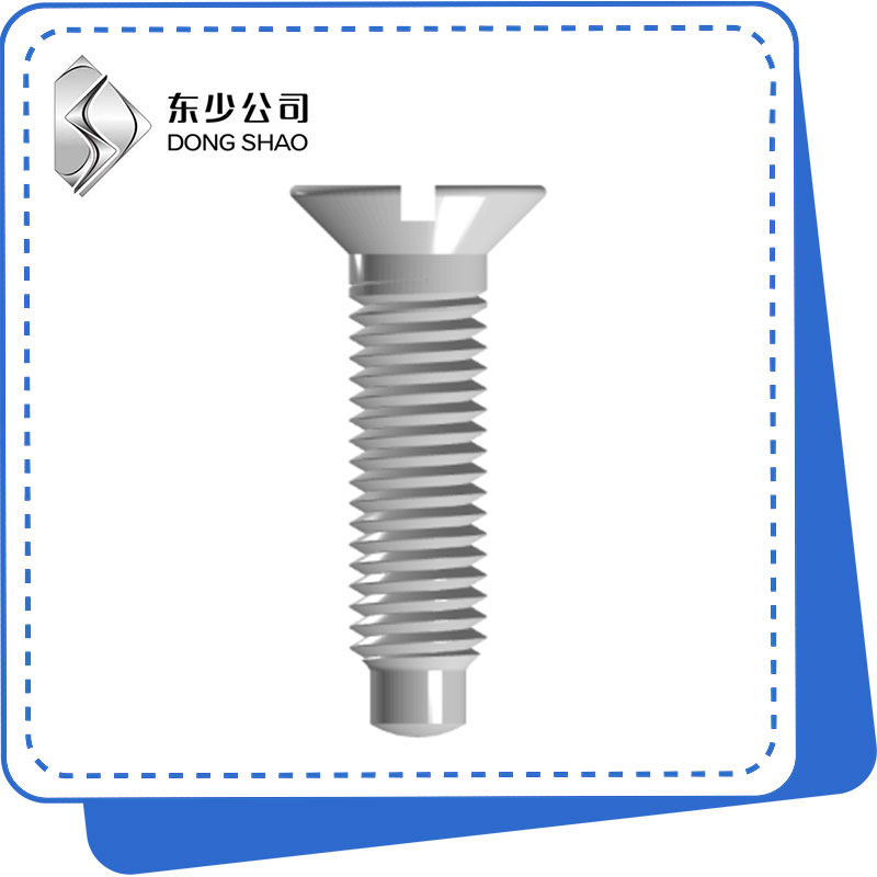 Slotted Countersunk Head Screw with Full Dog Point